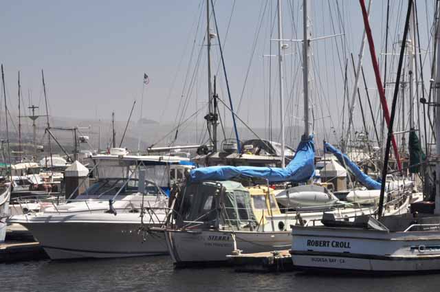 Spud Point Marina